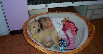 emma pet sitter à AMIENS 80000_9