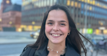 ambre pet sitter à AMBARES ET LAGRAVE 33440_0