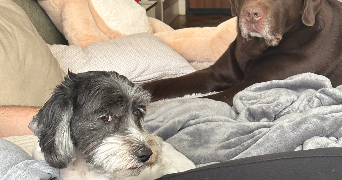 myriam pet sitter à PARIS 13 75013_5