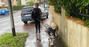 corine pet sitter à NOISEAU 94880_3