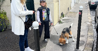 charles pet sitter à BOULOGNE BILLANCOURT 92100_3