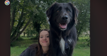 manon pet sitter à TOULOUSE 31200_0