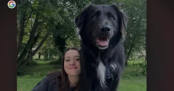 manon pet sitter à TOULOUSE 31200