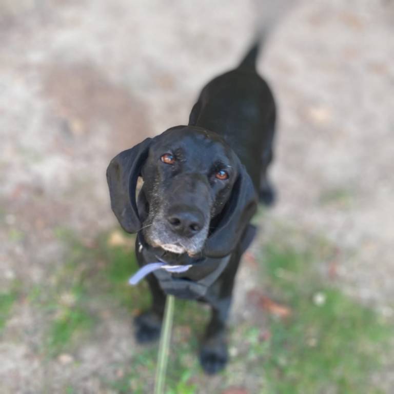 Maria pet sitter à Aix-en-Provence 13100_4