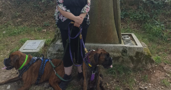 nolwenn pet sitter à CLOHARS CARNOET 29360_6