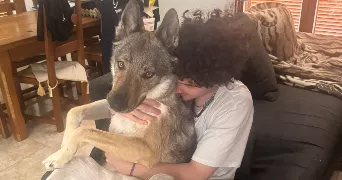 theo dog sitter à NICE 06000