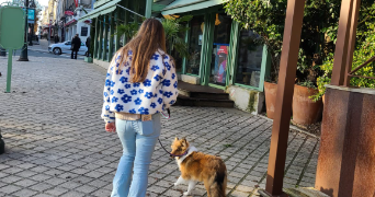 romane pet sitter à REZE 44400_3