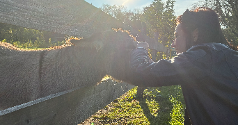 joan pet sitter à SELESTAT 67600_0