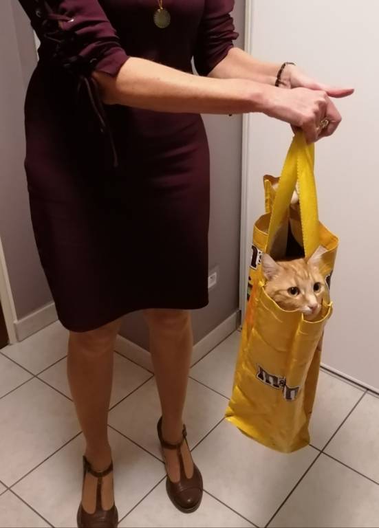béatrice cat sitter à Douai 59500_4