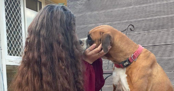 amelie pet sitter à VIGNEUX SUR SEINE 91270_1