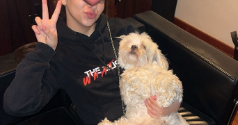 tereza pet sitter à LE ROURET 06650_2