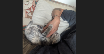 Émaé pet sitter à MARSEILLE 04 13004_2