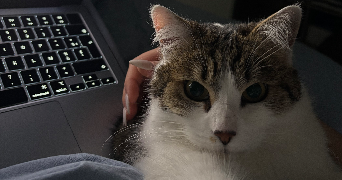 romane pet sitter à TARCENAY FOUCHERANS 25620_1