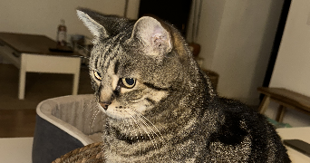 mathilde pet sitter à LA BASTIDONNE 84120_3