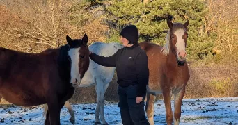 lou-ann pet sitter à CLERMONT FERRAND 63000