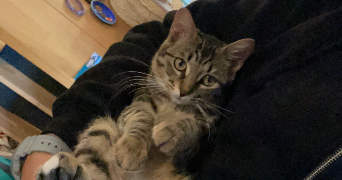 clément pet sitter à VENISSIEUX 69200_2