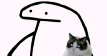 imane pet sitter à SCHILTIGHEIM 67300_0