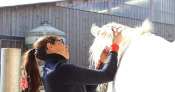 jessica pet sitter à BELABRE 36370_3