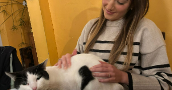 anahita pet sitter à MONTREUIL 93100_1