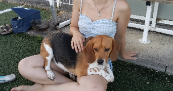léna pet sitter à CORMERY 37320_8