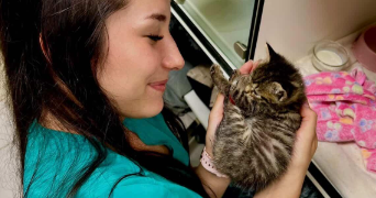 valeria pet sitter à CUERS 83390_3