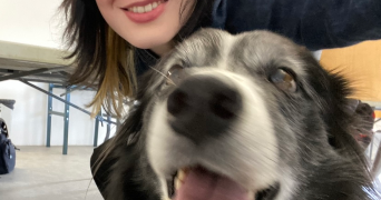 eléa pet sitter à HAUBOURDIN 59320_1