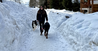 alice dog sitter à GRIMAUD 83310_1