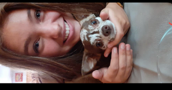 marie pet sitter à NEUGARTHEIM ITTLENHEIM 67370_0