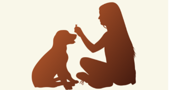 marie-astrid pet sitter à BEGLES 33130_0