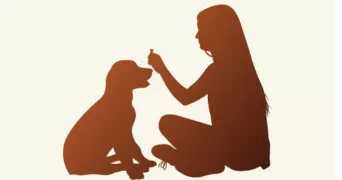 marie-astrid pet sitter à BEGLES 33130