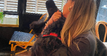 alya pet sitter à Drancy 93700_2