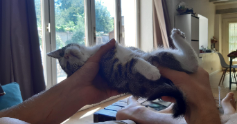 lola pet sitter à VILLARD D HERY 73800_2