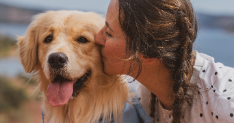 cassandra pet sitter à VEYRAC 87520_1