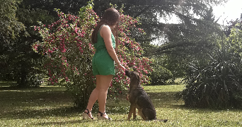 emma pet sitter à TOULOUSE 31400_2