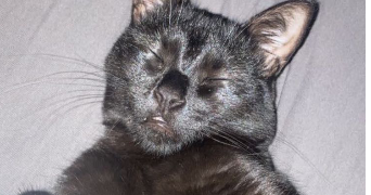 natalia pet sitter à GAGNY 93220_0