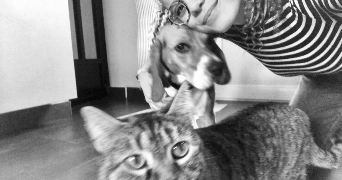 philippine pet sitter à LYON 09 69009_2