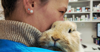 maëva pet sitter à Domont 95330_5