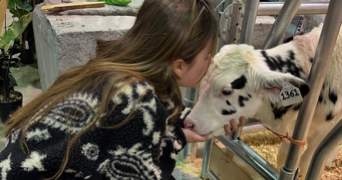 léna pet sitter à TOULOUSE 31000_5