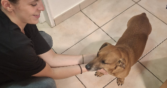clémence pet sitter à BRON 69500_1