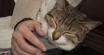 amandine pet sitter à ATHIS MONS 91200_1