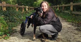 noemie pet sitter à BEAUCHAMP 95250