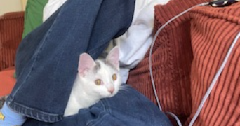 maéna pet sitter à LILLE 59000_2
