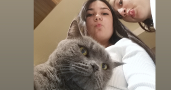 ambre pet sitter à ASNIERES SUR SEINE 92600_2