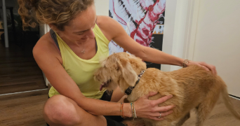 aurélie pet sitter à Nuzéjouls 46150_5