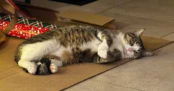 sihem pet sitter à VILLIEU LOYES MOLLON 01800_3