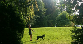 damaris pet sitter à SESSENHEIM 67770_7