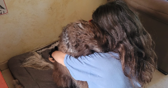 clelia pet sitter à MARQUETTE LEZ LILLE 59520_1