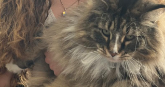 astrid pet sitter à PARIS 07 75007_3