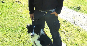 thomas pet sitter à ST ANDRE DE CUBZAC 33240_2