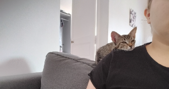 lucy cat sitter à MARSEILLE 01 13001_2